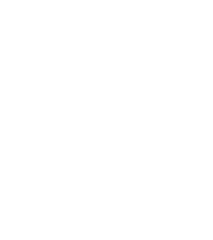 runnersflow
